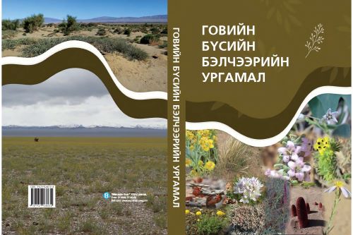Rangeland Plants of Gobi Region Mongolia